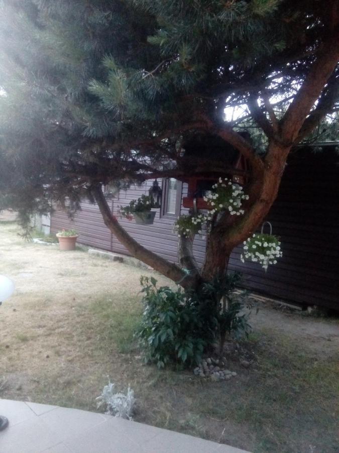 Apartamento Chabrowa Perla Jarosławiec Exterior foto